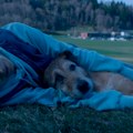 Politički nekorektna komedija o pravu na (pseći) život – „Pas na sudu” u domaćim bioskopima