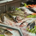 Razvijen sistem za precizno utvrđivanje svežine ribe