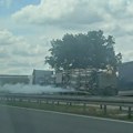 NA AUTO-PUTU KOD STARE PAZOVE: Sudarila se dva kamiona, cure metan boce, obustavljen saobraćaj