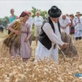 4.jula tradicionalni „Žetelački dan“ u Mužlji