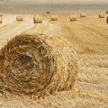 Имате ли информацију? Ивица даје 2.500 евра ономе ко открије ко му уништава фарму: Две бале сена му запалили, три завршиле у…