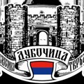 Humanitarnog turnira „Leskovac bori se za Kosovo i Metohiju“ u naselju Dubočica