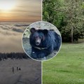 "Medved bacio kamen na nas, pogodio me u rame": Neverovatna priča u Crnoj Gori, muškarci pukom srećom preživeli