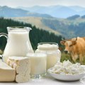 Pravo na premiju za kravlje, ovčije i kozje mleko: Detalji o uslovima i rokovima za poljoprivrednike