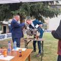 Međunarodna izložba pasa svih rasa u Vranju: Učestvuje 200 pasa iz 19 zemalja (foto)