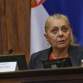 Sofronijević: Odluka o priznavanju na teritoriji EU novo poglavlje za vodni saobraćaj