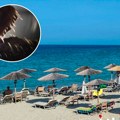 Dečak iz Srbije zgazio otrovno stvorenje na plaži u Grčkoj: "Toliko boli i brzo otiče da ne mogu da vam opišem"
