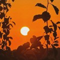 Kako je Sunce dobilo aplauz: Sećate li se prvog pomračenja koje ste videli?