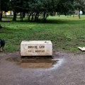 "Samo je nestao preko noći": Ukraden spomenik Brus Lija