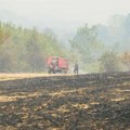 Veliki šumski požari na jugoistoku Srbije, gori oko 2.500 hektara, dramatično i u hrvatskoj Dalmaciji