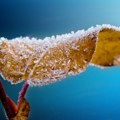 Narednih dana jutarnji mrazevi i dnevne temperature malo iznad nule