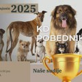 NAJAVA: U drugoj polovini aprila II CAC Izložba – Spektakl za sve ljubitelje pasa! 🐶 II CAC Izložba – Spektakl za sve…