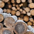 Evo kako do jeftinog ogrevnog drveta Nova mera države pomaže građanima, a evo za koga je besplatno