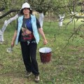 Glumica napustila Beograd i otišla na selo: Život u gradu zamenila prirodom, tamo muze koze i okopava baštu "Slušam ptičice, a…