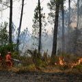 U Francuskoj od početka jula uhapšene 474 osobe zbog sumnje da su podmetale požare