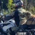 Dva vozača, malo jača: Beograđanin sa svojim psom kruzira na moćnoj mašini, video obišao internet