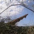 Уништено складиште ОСУ: Хаубицама сравнили са земљом (видео)