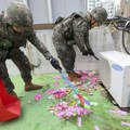 Balon sa smećem iz Severne Koreje sleteo na predsednički kompleks u Južnoj Koreji