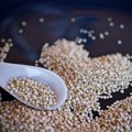 Usvojen Predlog zakona o semenu i sadnom materijalu - Jedan propis umesto tri stara zakona