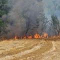Požar u Razgojni se širi prema Babičkom, vetar otežava gašenje