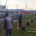 Nastavljena akcija ozelenjavanja Kragujevca: Posađene nove drvoredne sadnice