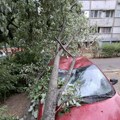 Stabla padala po automobilima i ulicama "Zelenilo" intervenisalo na čak 21 lokaciji u Beogradu nakon potopa: Evo kako možete…