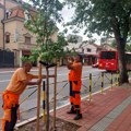 Ekipe JKP „Mediana“ na terenu: Pogledajte gde se danas izvode radovi na uređenju grada