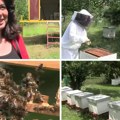 Dok drugi pčelari gube svoje pčele, Marina je uspela svoje da sačuva: Meda možda neće biti, ali...
