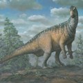 Otkrivena nova vrsta dinosaurusa s "jedrom" duž leđa