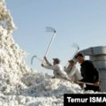 EU priprema sankcije uzbekistanskim firmama za pamuk zbog veza s ruskom vojskom