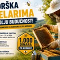 Raspisan javni poziv za podsticaje u stočarstvu: Država daje 1.000 dinara po košnici