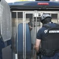 Strah od velike izlaznosti i izbornog poraza: Režim hapšenjima pokušava da zastraši građane?