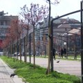 Ekipe jkp Šumadija Kragujevac počele radove na prolećnom uređenju grada