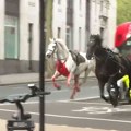 VIDEO: Krvavi konji kraljevske garde izazvali pometnju u centru Londonu