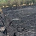 Prizor s juga Srbije koji slama srce: U vatri nestali hektari šuma, voćnjaka i njiva... Sve se crni