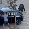 Видео из Шпаније: Бик против аутомобила