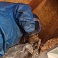 (Video) Vladica zmije hvata golim rukama, ali kada je video ovo, šok! Trebalo mu je i posebno zaštitno odelo: Šta je ovo…
