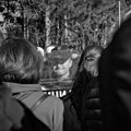 U Valjevu se dogodila osveta policije, a ne intervencija