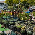 Od prazne sobe do 300 vrsta kaktusa: Ljubav koja traje duže od 20 godina