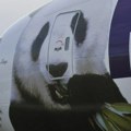 Životinje: Kako su ‘rok zvezde’ pande ostale bez ljubavne priče