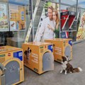 Univerexport predstavlja inovativne kućice za pse – Uživajte u kupovini, a vaš ljubimac u hladovini!