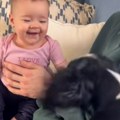 Beba prvi put čuje psa dok laje, njena reakcija je sve: Video koji je rastopio internet, usledili urnebesni komentari