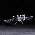 Roboti-bumbari bi jednog dana mogli da oprašuju biljke na Marsu