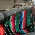 Хода по кући као да умире, јауци су драматични: Објава супруге Андрије Милошевића насмејала је све