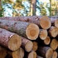 Srbijašume: Kubik drva 50 odsto jeftiniji, za najugroženije cena 2.900 dinara