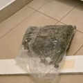 "Pali" dileri na Paliluli: Ovo je policija pronašla kod njih