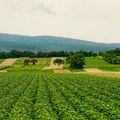 Dobra vest za sektor agrara - Počela izrada Nacrta Zakona o komasaciji zemljišta