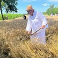 Severnobanatske žetvene svečanosti u Sajanu kod Kikinde