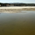 Ugrožen izvoz žitarica, veliki peščani sprudovi na granici sa Bugarskom. Vodostaj Dunava u Rumuniji pao na najniži nivo.