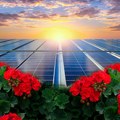 Umesto muškatli, solarni paneli cvetaju na nemačkim balkonima – pomama za energijom sunca
